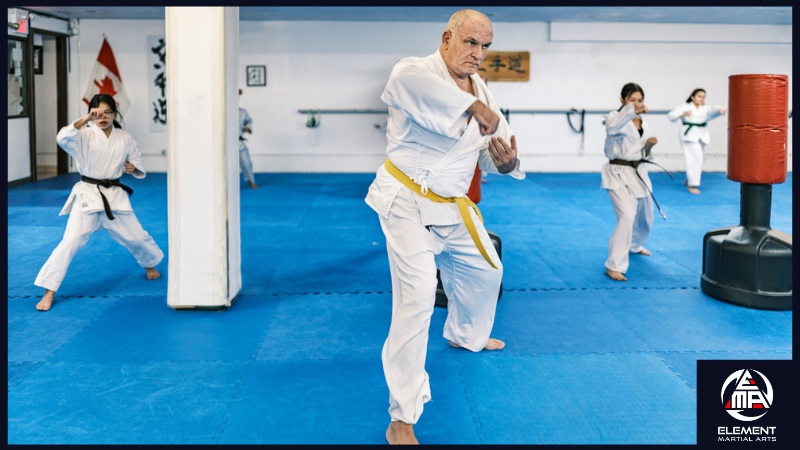 Taekwondo for All Ages: Starting Your Martial Arts Journey at Any Stage of Life
