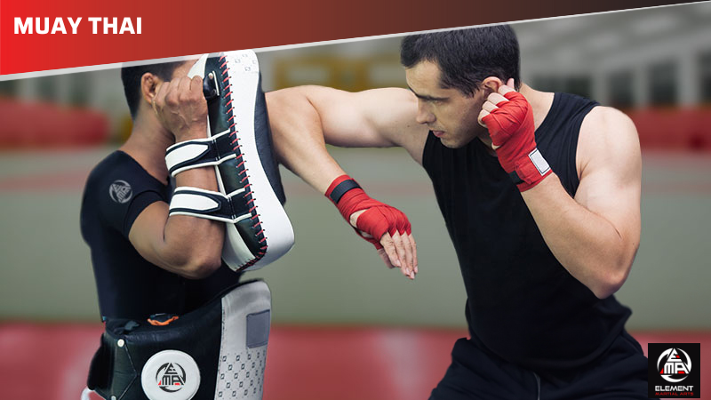 Kickboxing and Muay Thai Classes For Adults In Calgary