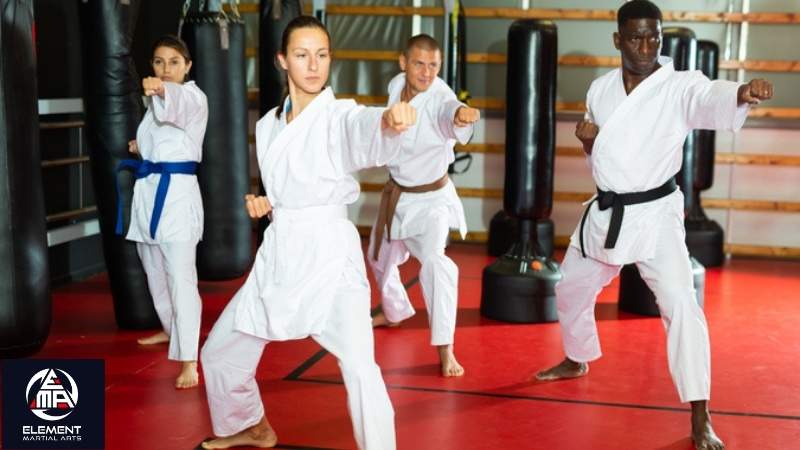 The Impact of Kung Fu Training on Flexibility and Balance 